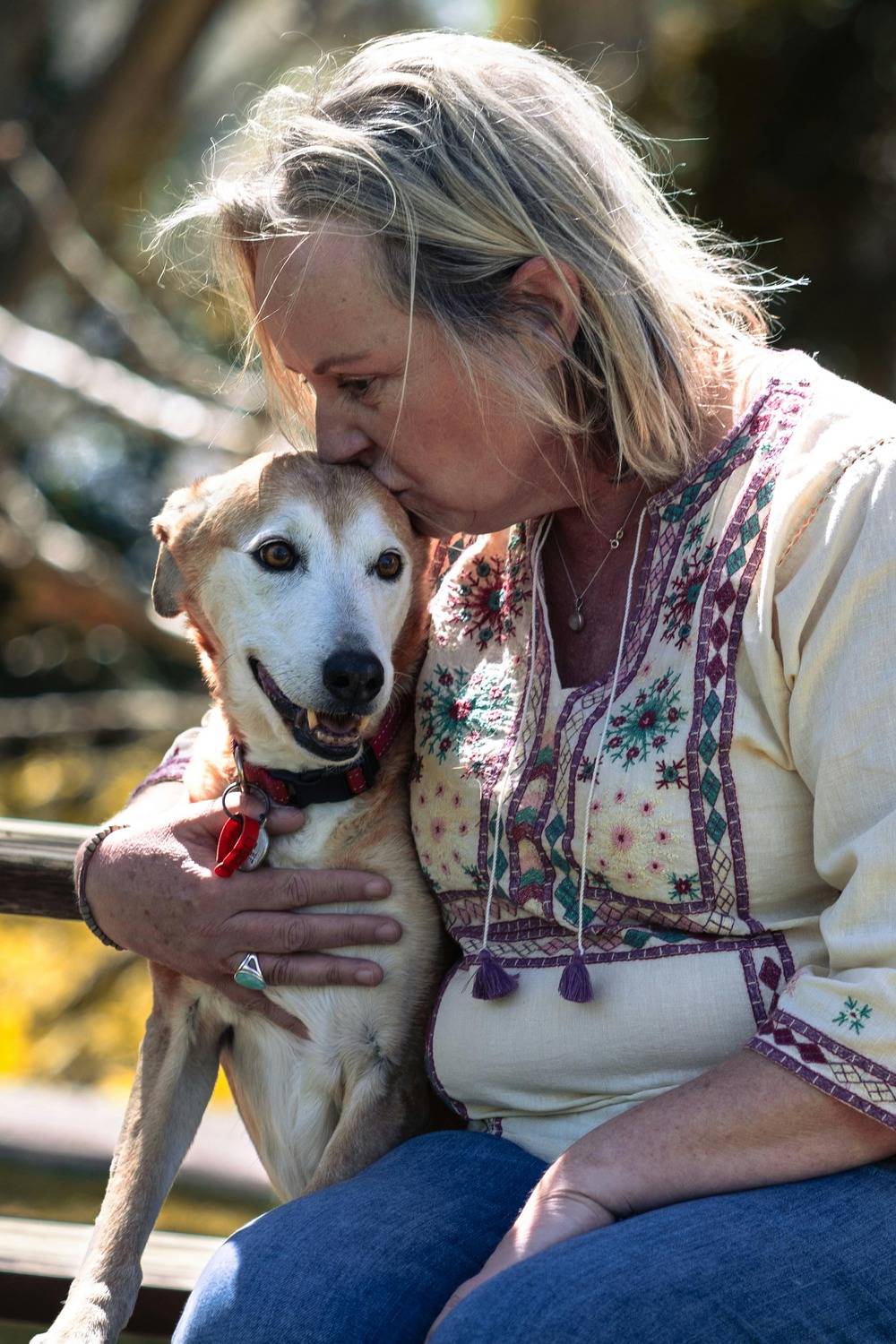 Woman kissing her senior dog on a park bench — 5 reasons to adopt a senior dog